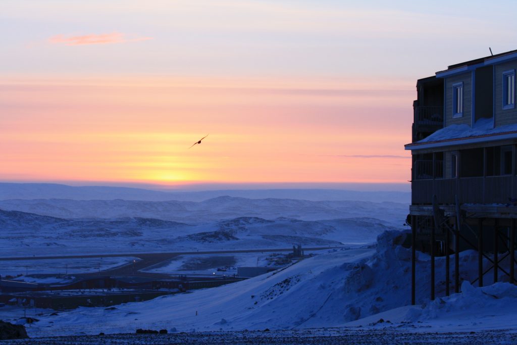 Bird flying before sunset over tundra in Iqaluit, Nunavut