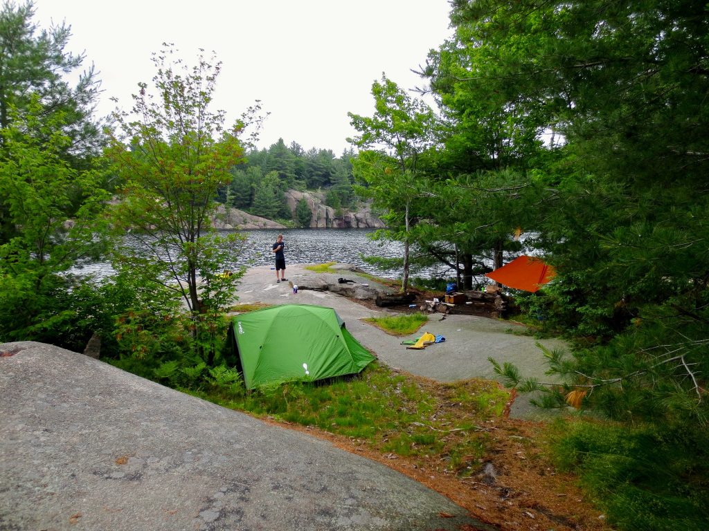 Tents on a campsite in Killarney Provincial Park.