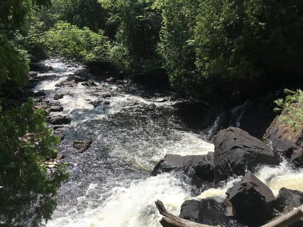 algonquin park canoe day trips