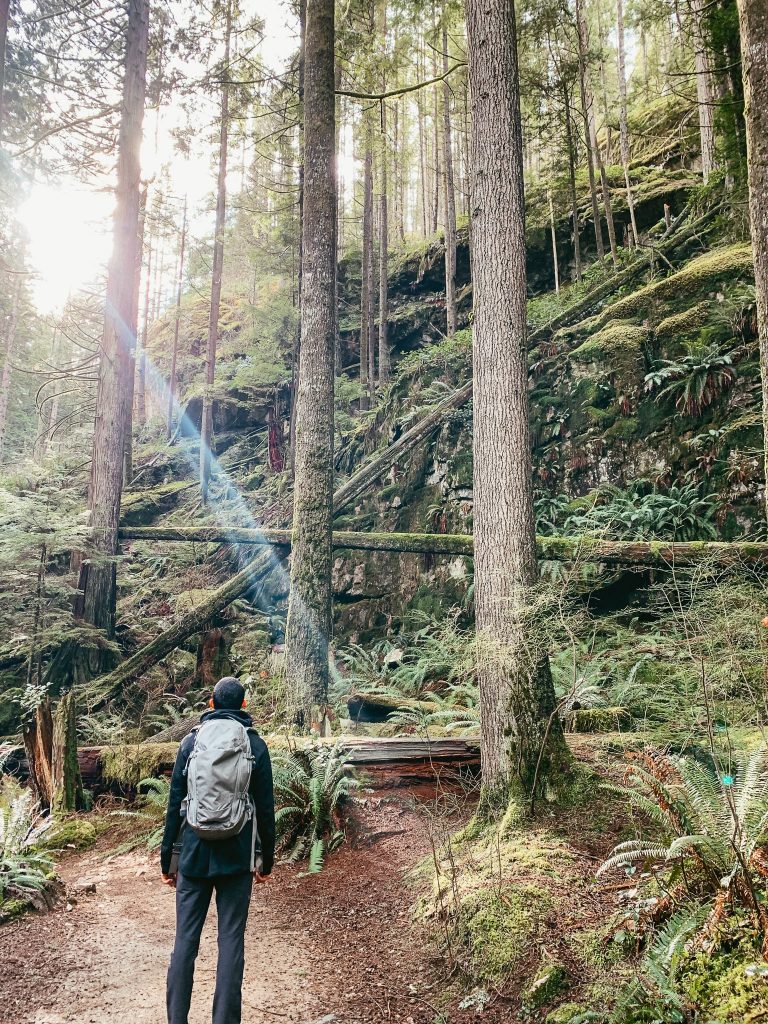 Man standing under tall trees at Buntzen Lake