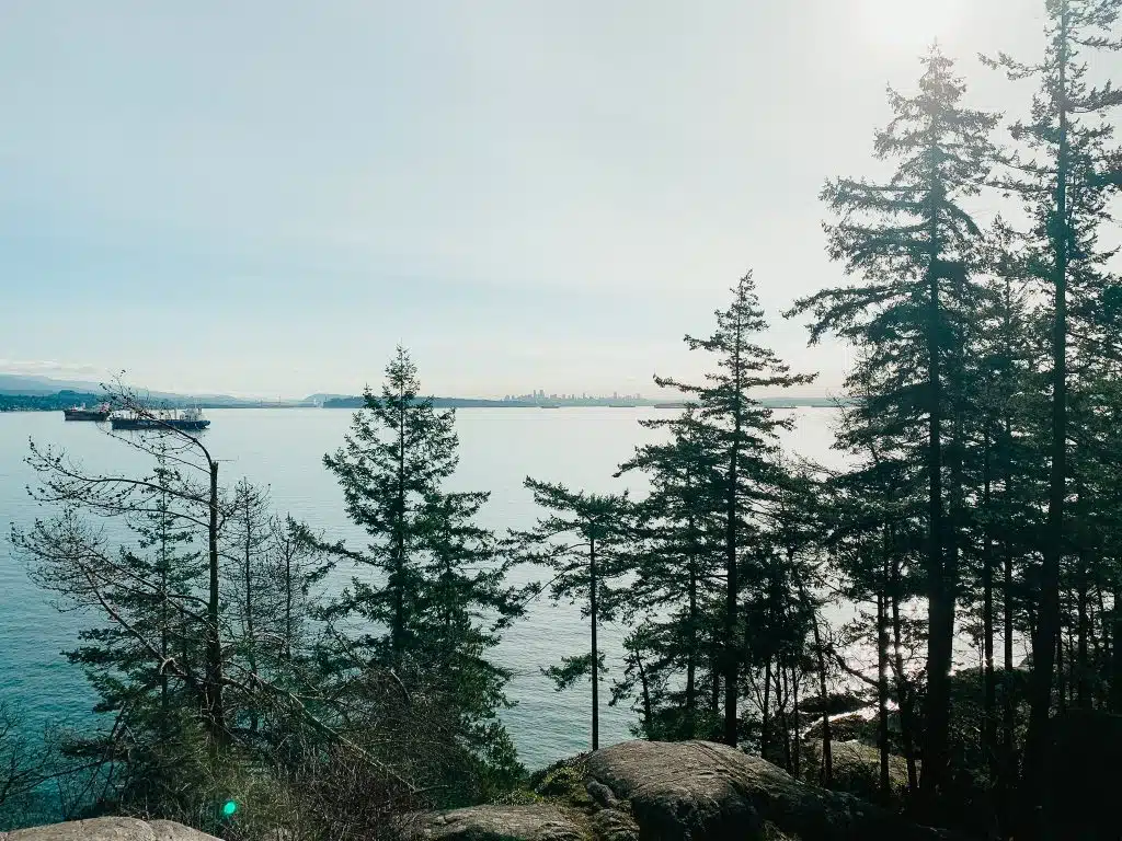 Ocean and Pine Trees from Lighthouse Park in Vancouver
