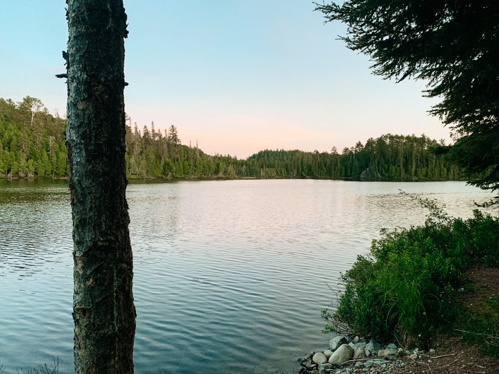 Sun is setting on a lake surrounded by pine trees in Temagami, one of my favourite places for crown land camping in Ontario.