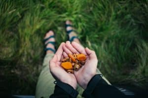 dry fruits are the best and easy to carry snacks at hiking trail