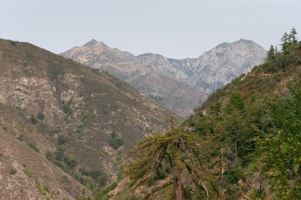 While and grey mountains along the PIne Ridge Trail in Los Padres National Forest