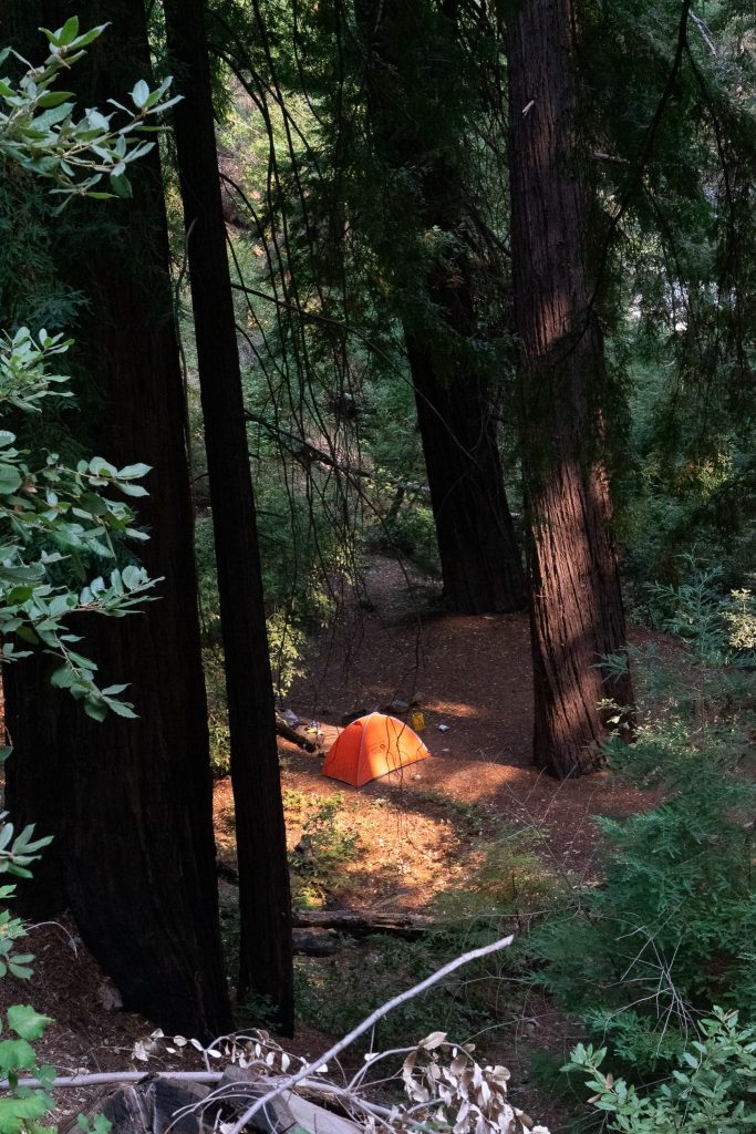 Tent set up below the Redwoods in Los Padros National Forest along the Pine Ridge Trail