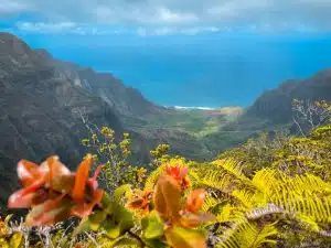 Kalalua valley from above
